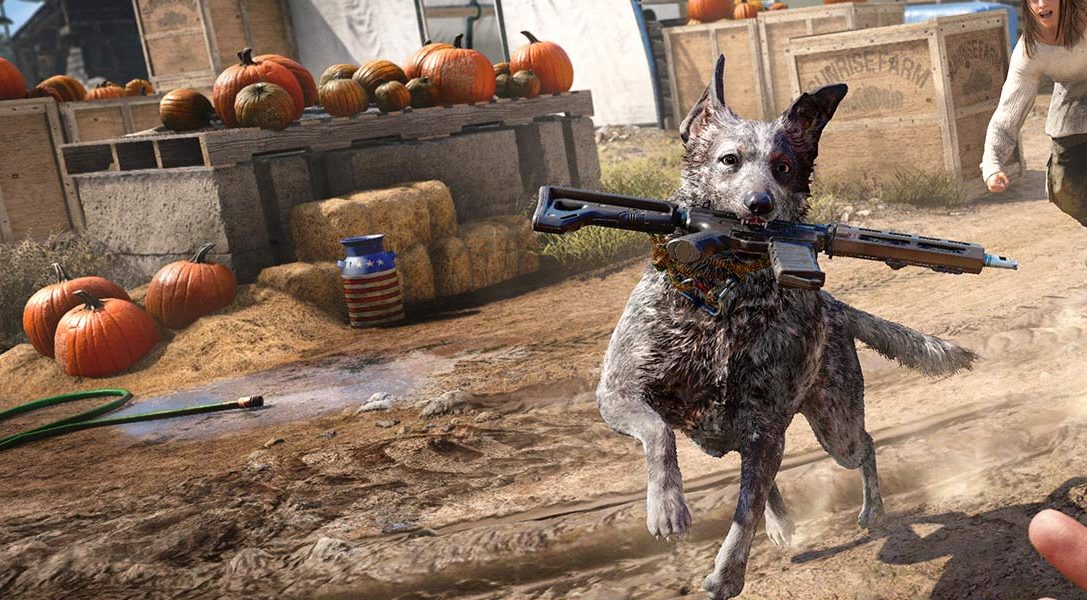 8 curiosità che abbiamo scoperto sul cane Boomer e sul lato nascosto della fauna selvatica di Far Cry 5
