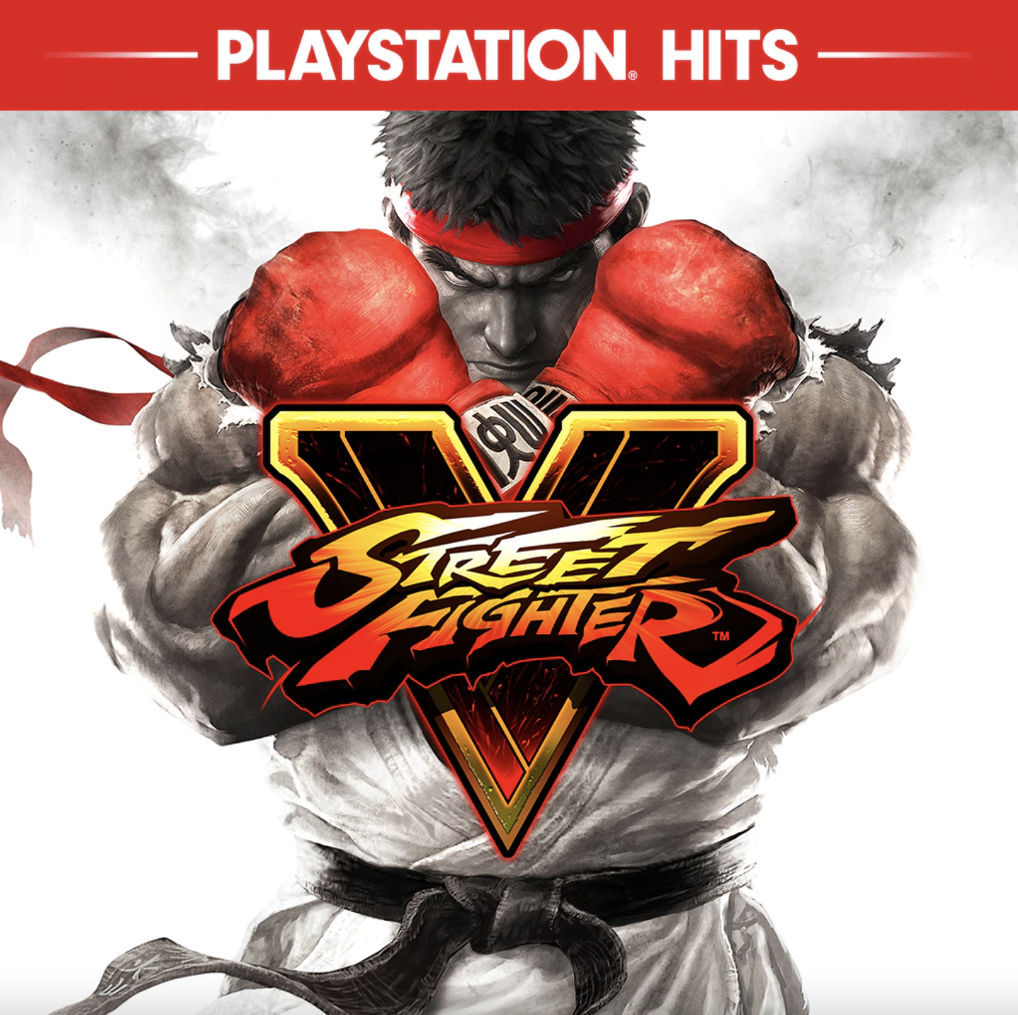 Street Fighter V