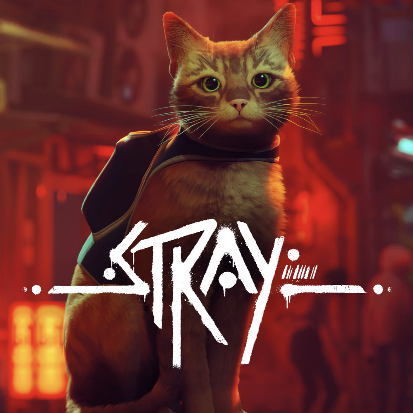 Stray - PS5 Games | PlayStation (US)